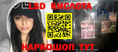 ГАЛЛЮЦИНОГЕННЫЕ ГРИБЫ Кингисепп