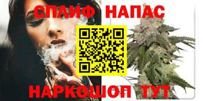 индика Канаш