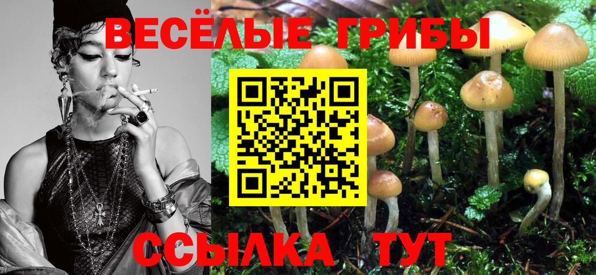 Краснокаменск  Псилоцибиновые грибы GOLDEN TEACHER  Вход с VPN  Галлюциногенные грибы прущие грибы 