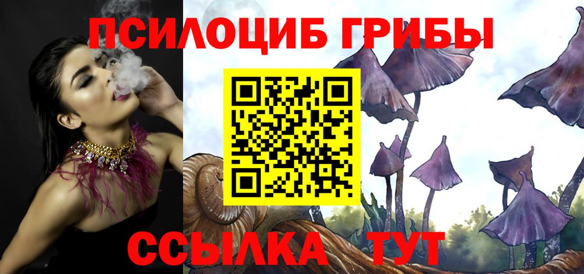 Галлюциногенные грибы GOLDEN TEACHER Краснокаменск